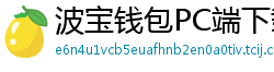 波宝钱包PC端下载